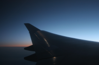 Wing